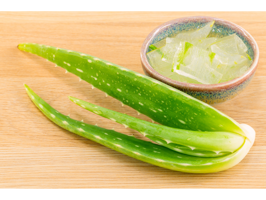 aloe plant as ingredient for Best Anti-Aging Treatments and Products for 30s