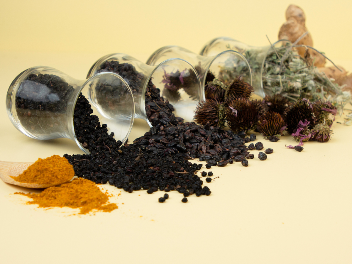 Immune boosting herbs like elderberry and echinacea spilling out of clear jars.